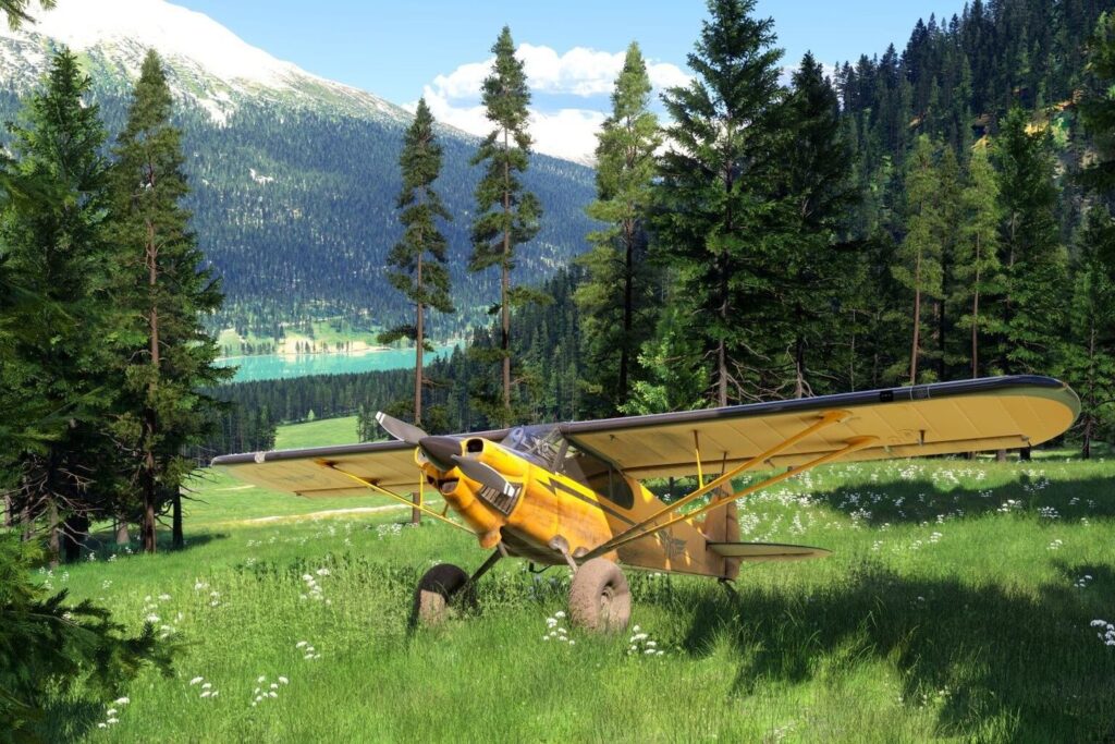 microsoft flight simulator 2024